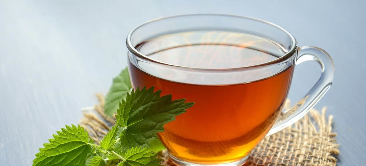 13 Health Benefits Of Green Tea