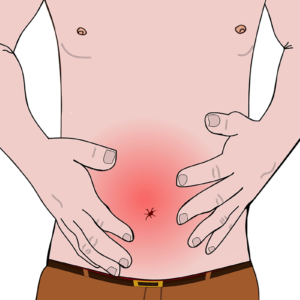 How To Tell If Your Gut Is Healthy