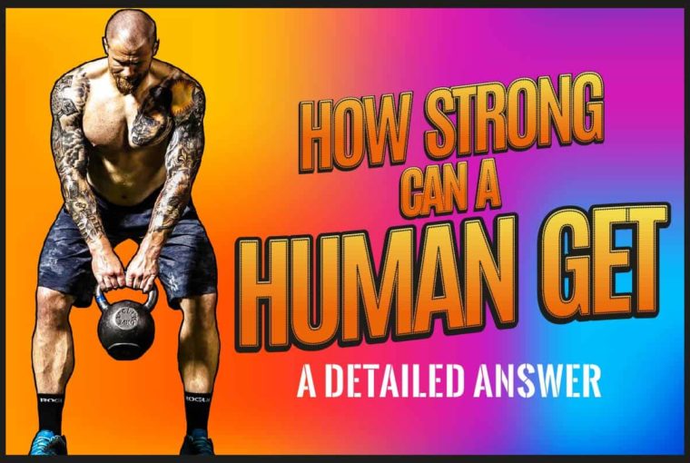 How Strong Can a Human Get