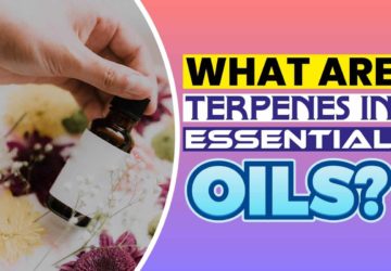 What Are Terpenes in Essential Oils