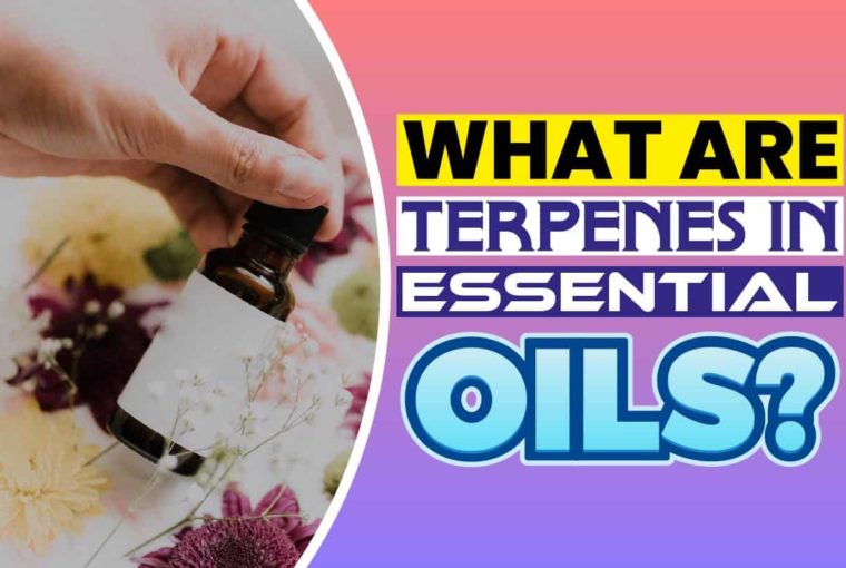 What Are Terpenes in Essential Oils