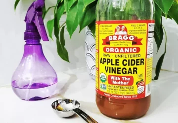 Can You Put Apple Cider Vinegar In Your Ear