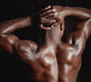 High Protein Diets For Bulking Or Gaining Muscle Mass